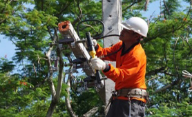 Electrical System Construction & Installation